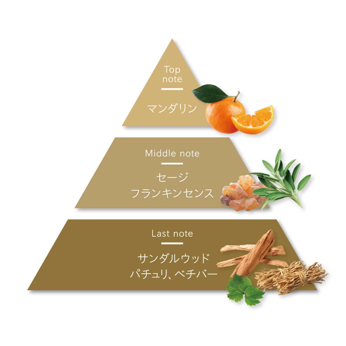 Insta_フレグランス02 (1) Insta_フレグランス02 (1)