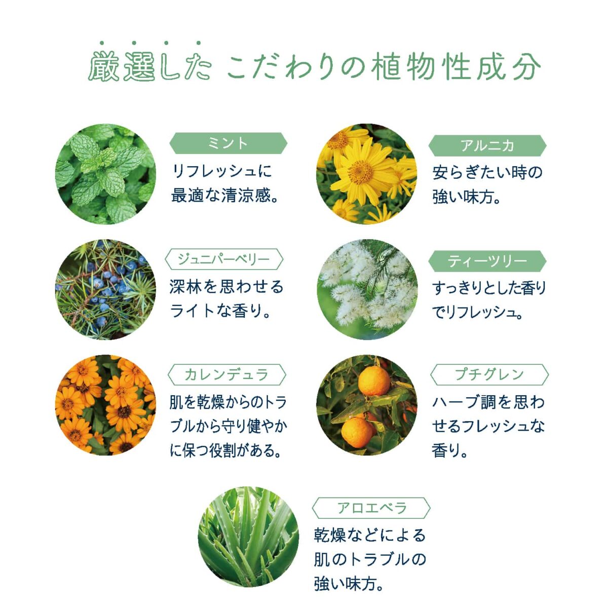 Chillmint_balm_gensen