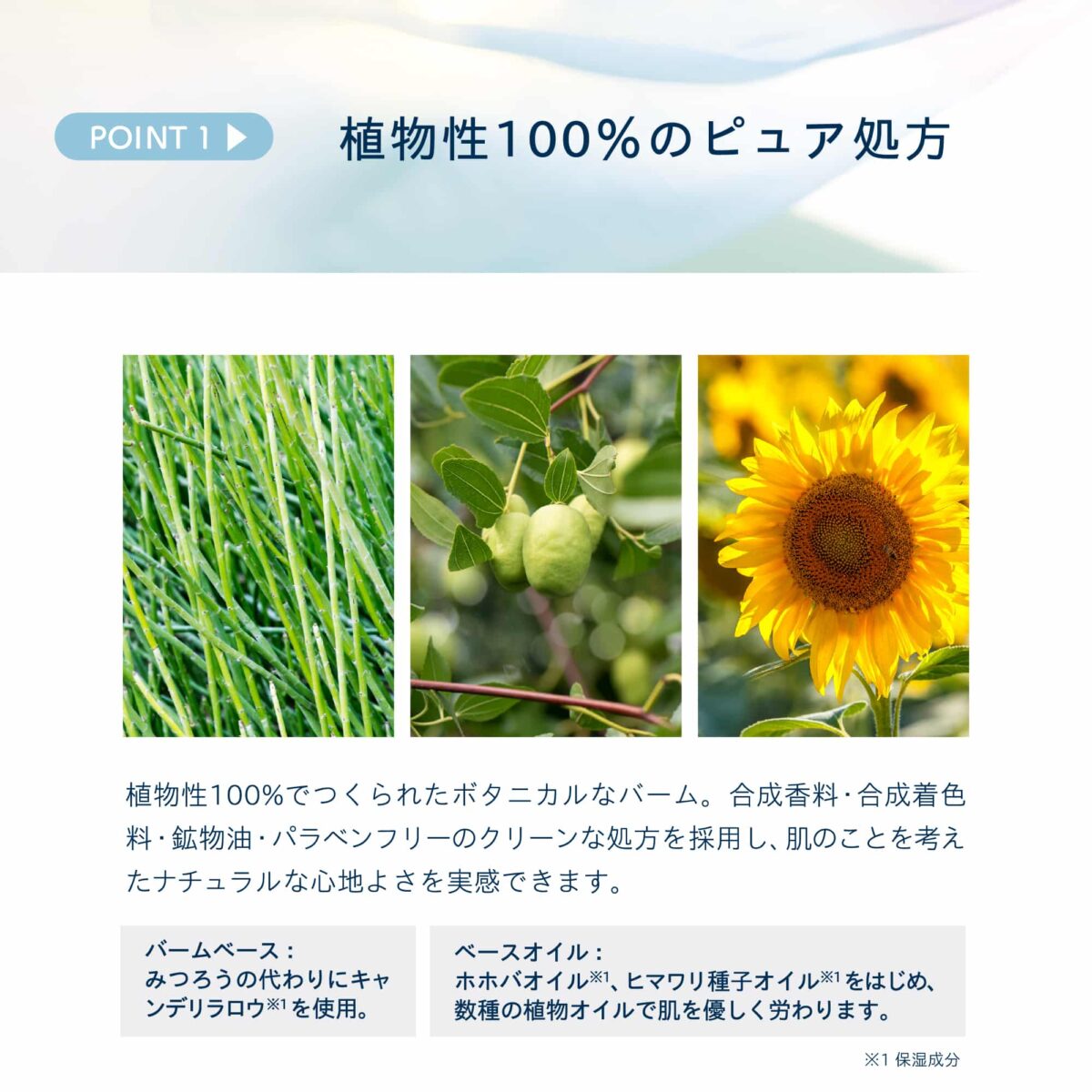 UNWIND_2000_2000_02 UNWIND_2000_2000_02